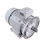 الکتروموتور 132M6A 3-1000 55F 380/660 چدنی